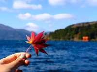 秋遊箱根賞紅葉🍁富士山下醉人美景🗻蘆之湖
