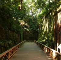 【神奈川/猿島】東京からも簡単に行ける無人島‼︎