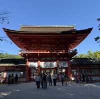 賀茂御祖神社（下鴨神社）