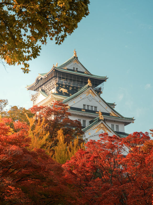 【大阪】紅葉が美しい！秋の大阪城🏯