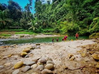 Sumatra Savages