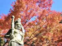 吞山觀音寺-紅葉融入觀音寺內，構成一幅美麗的畫卷