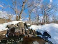 【大雪旭岳源水公園:北海道東川町】大自然の恵みのお水を飲もう✨