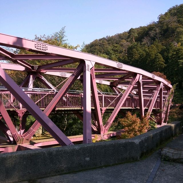 【石川】加賀の自然美を満喫する「こおろぎ橋」