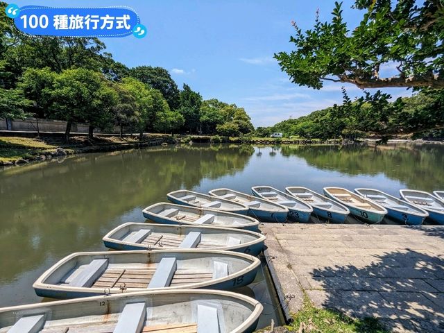 東大寺與梅花鹿，奈良2天1夜行程分享