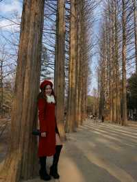 Nami Island 