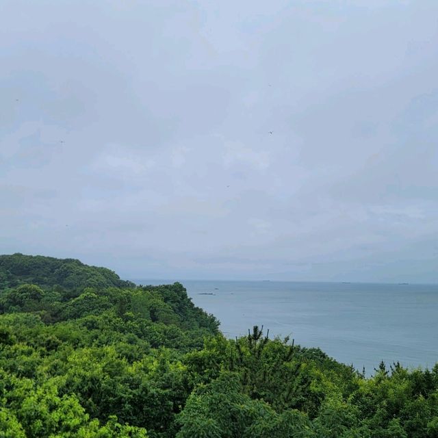풍경도 이쁜 토브투펜션