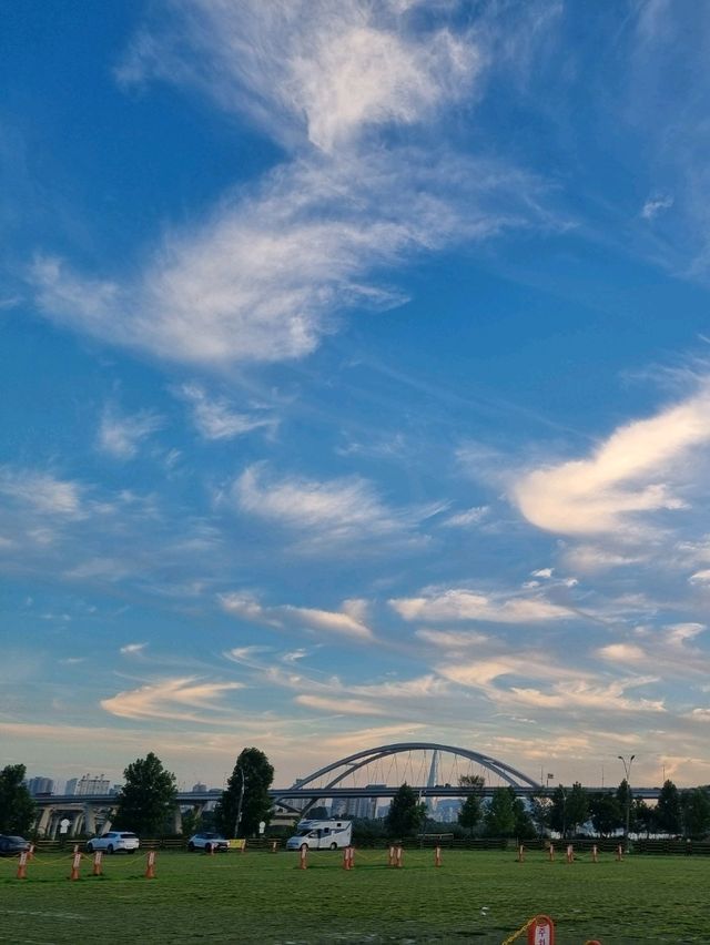 가을을 핑크빛으로 물들인 코스모스🌸🌸