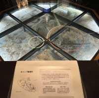仙台景點｜全世界唯一可見冰河時期森林遺蹟博物館—地底之森博物館(仙台市富澤遺跡保存館)
