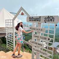 #ที่พักภูชี้ฟ้า #ชิวชิวแคมป์ #วิวหลักล้าน 