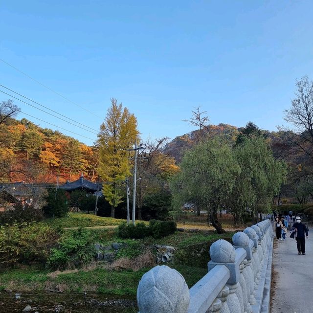 단풍구경도하고 보물가득한 수타사도 보러 홍천가자