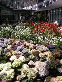 พิกัดสวนดอกไม้ติดแอร์สุดชิล Miracle of Natural🌷