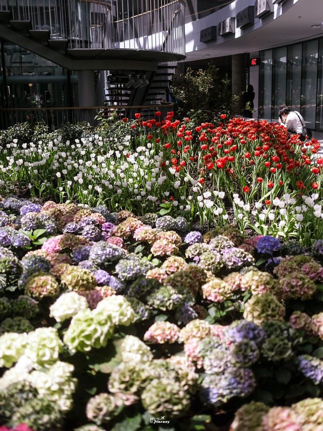 พิกัดสวนดอกไม้ติดแอร์สุดชิล Miracle of Natural🌷