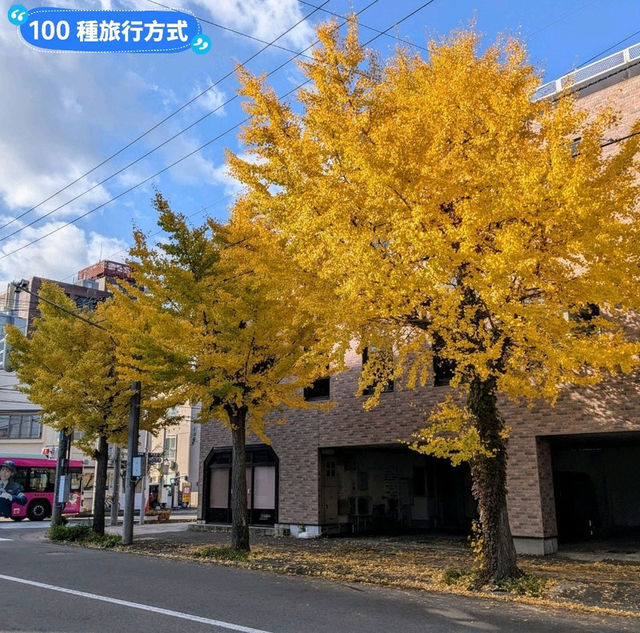 金黃漫紅，日本東北賞銀杏景點分享