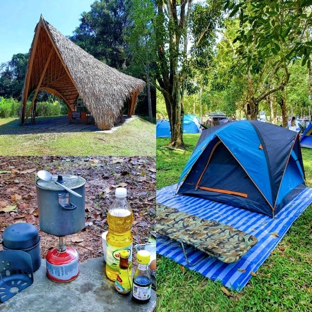 An awesome campsite with beautiful wildlife and landscape 🌿🦌🍃🦋🌳🐒