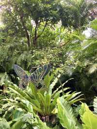 Bangkok’s fairytale butterfly garden 
