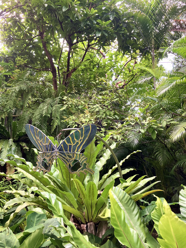 Bangkok’s fairytale butterfly garden 