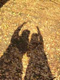 【奈良】銀杏も紅葉も見れる、おすすめの紅葉スポット