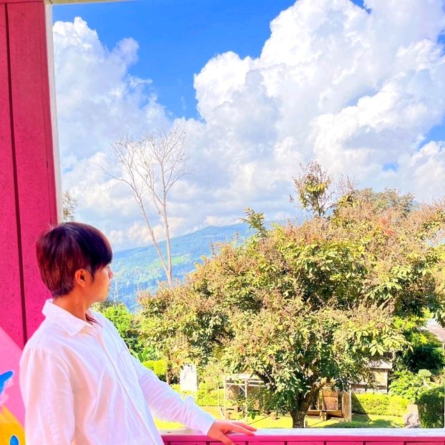 ชมดอกไม้สวย สวนแม่ฟ้าหลวง ดอยตุง