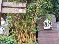 it's PANDA time !!!