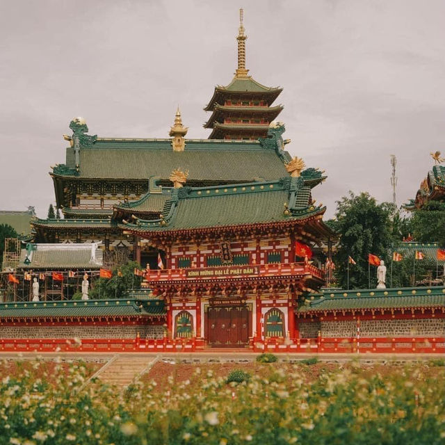 Mang den vietnam