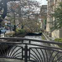 【京都/中京区】朝の先斗町🚶‍♀️