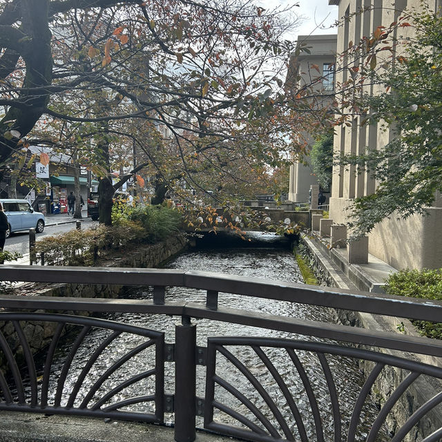 【京都/中京区】朝の先斗町🚶‍♀️