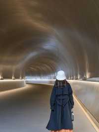 【滋賀】季節を感じる美術館！MIHO MUSEUM
