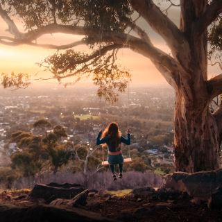 Adelaide Waite Conservation Reserve: A Great Hiking Spot