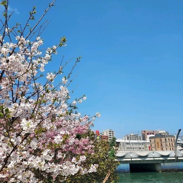 Sunshine Day @ Kokura 