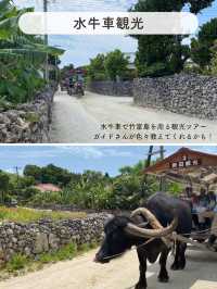 【竹富島】絶対行きたい竹富島のおすすめSPOT5選