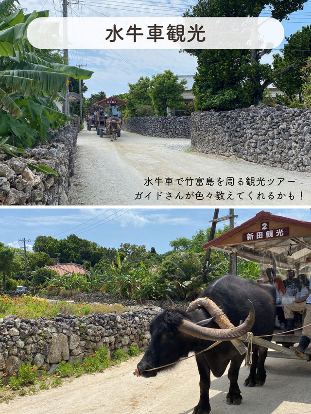 【竹富島】絶対行きたい竹富島のおすすめSPOT5選 【竹富島】絶対行きたい竹富島のおすすめSPOT5選