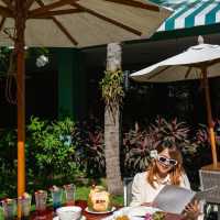 Pets friendly hotel Phuket🐶🐱