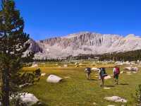 Golden Trout Wilderness: A Hidden Gem for Outdoor Adventure