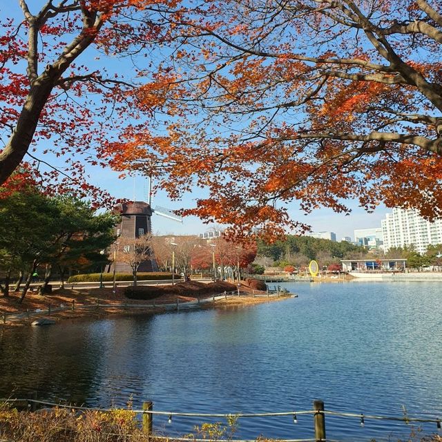 12월에도 단풍 볼 수 있는 울산대공원