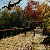Hidden Gem: Prairie Creek Park's Huck Finn Trail