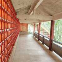 Putuo Village: A Tranquil Buddhist Sanctuary