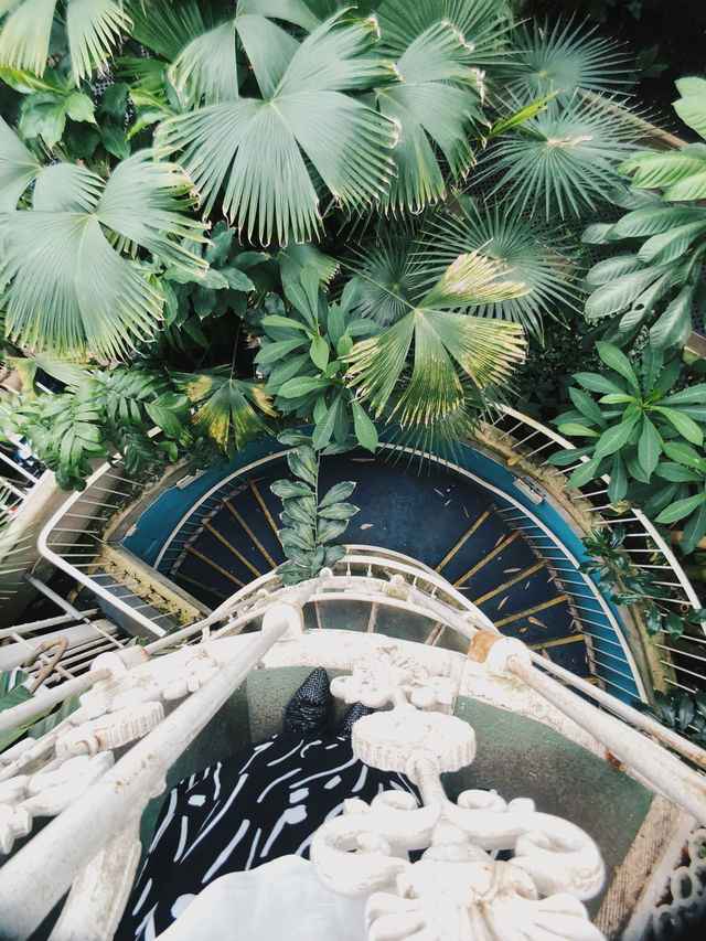 倫敦私藏綠洲 植物迷的天堂Kew Gardens