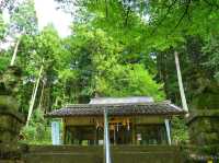 【岐阜県】モネの池として一躍話題に！根道神社の無もなき池