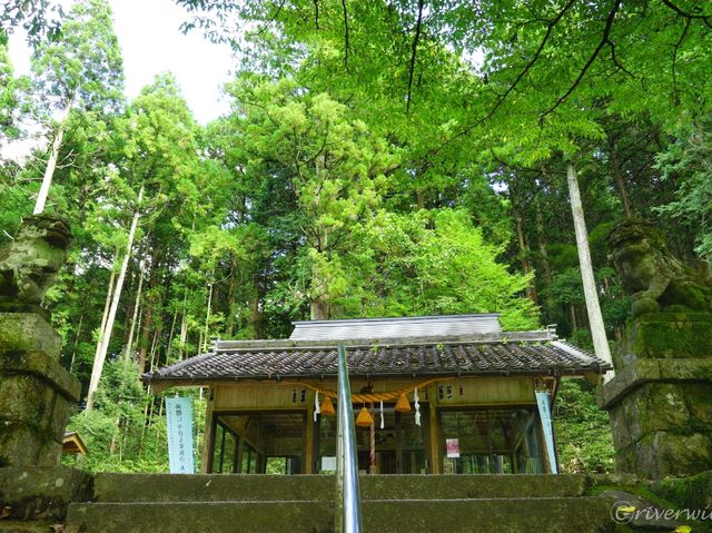 【岐阜県】モネの池として一躍話題に！根道神社の無もなき池