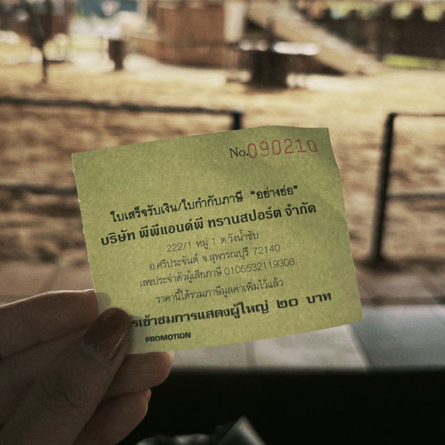 Buffalo Village หมู่บ้านอนุรักษ์ควายไทย
