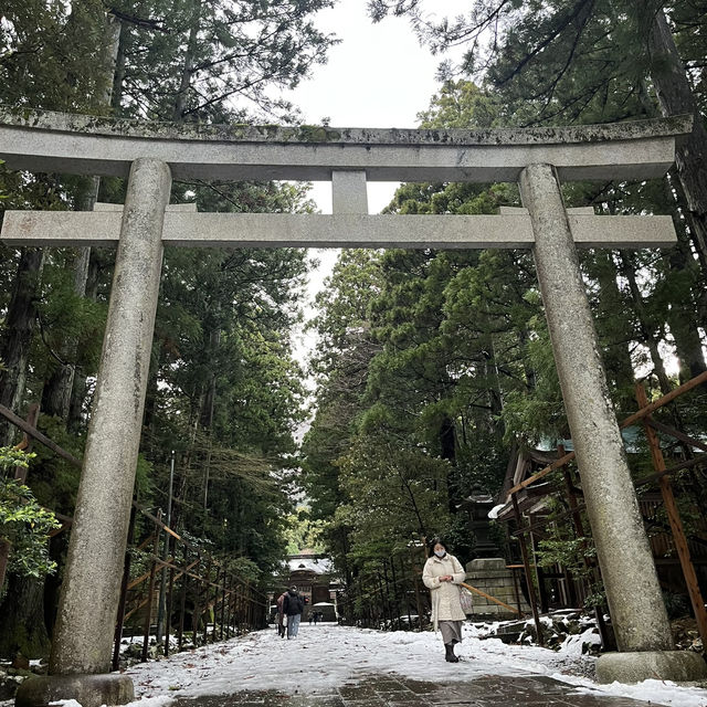 【新潟🌾】新潟の最強パワースポット⛩️
