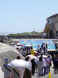 【初島】東京から最短でいける離島🏝️