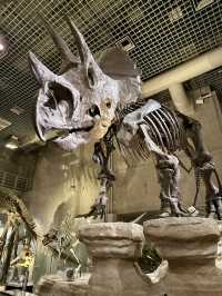 Awesome exhibits!🦕