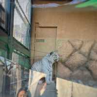遊園地と動物園があわさった東武動物公園