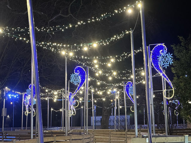 Ring in the New Year in Elegant Vienna