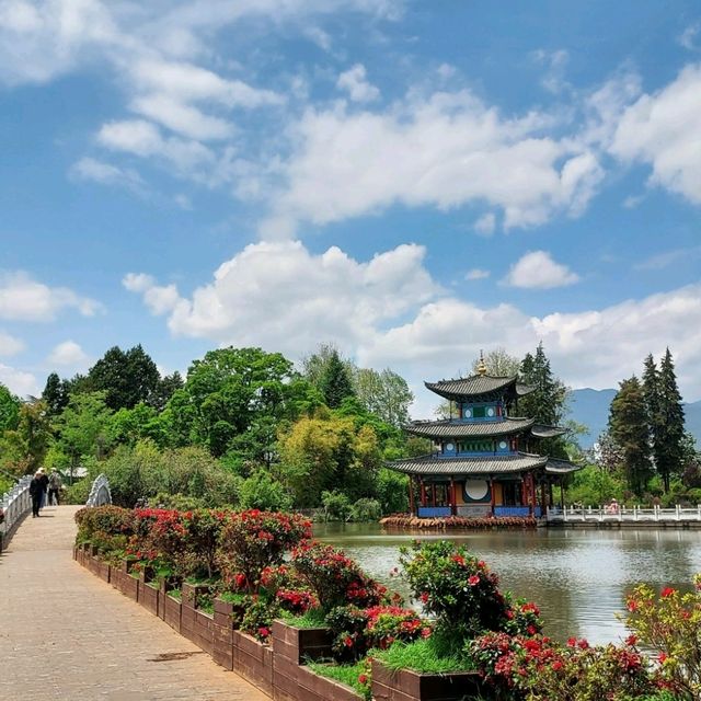 สระมังกรดำ (黑龙潭) @ ลี่เจียง