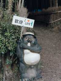 【岡山】まだ知られていない竹林スポット