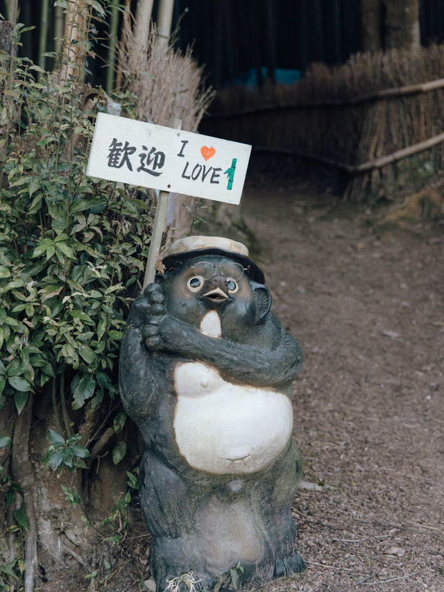 【岡山】まだ知られていない竹林スポット