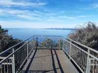 Majestic Views from Table Cape Lookout